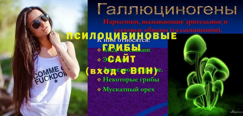 Псилоцибиновые грибы мицелий  купить  цена  Качканар 